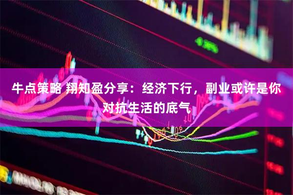 牛点策略 翔知盈分享：经济下行，副业或许是你对抗生活的底气