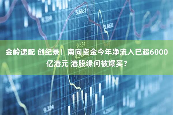 金岭速配 创纪录！南向资金今年净流入已超6000亿港元 港股缘何被爆买？