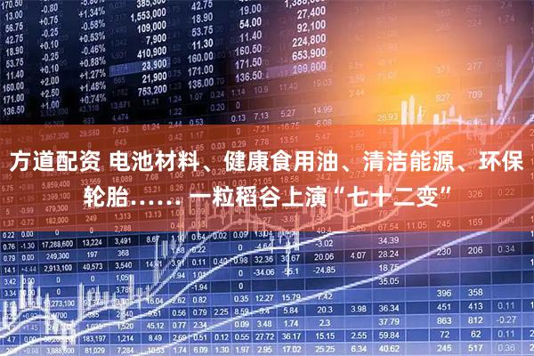 方道配资 电池材料、健康食用油、清洁能源、环保轮胎…… 一粒稻谷上演“七十二变”
