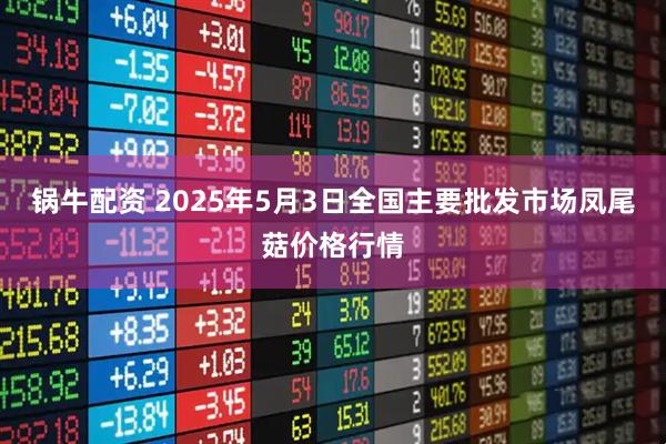 锅牛配资 2025年5月3日全国主要批发市场凤尾菇价格行情