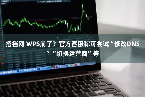 搭档网 WPS崩了？官方客服称可尝试“修改DNS”“切换运营商”等