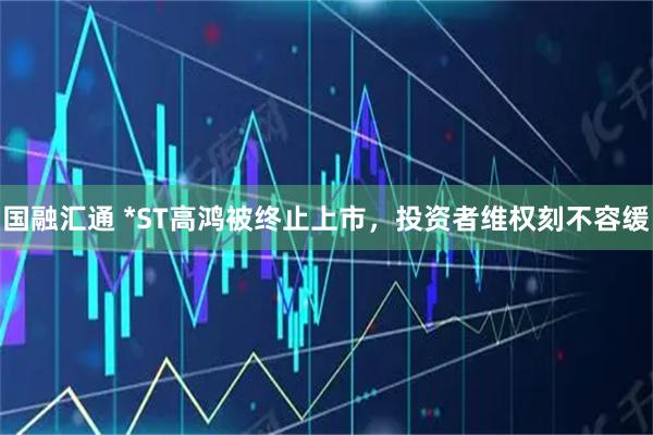 国融汇通 *ST高鸿被终止上市，投资者维权刻不容缓