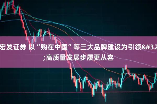 宏发证券 以“购在中国”等三大品牌建设为引领 高质量发展步履更从容