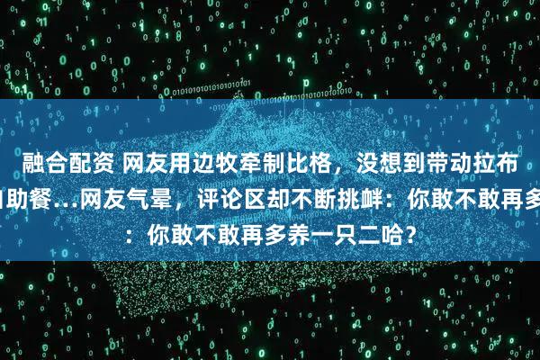 融合配资 网友用边牧牵制比格，没想到带动拉布拉多一起吃自助餐…网友气晕，评论区却不断挑衅：你敢不敢再多养一只二哈？