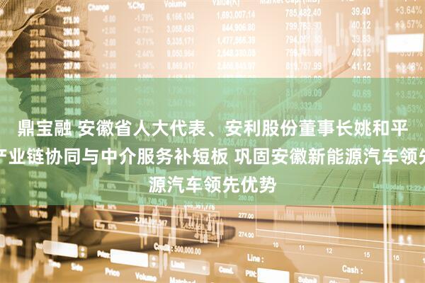 鼎宝融 安徽省人大代表、安利股份董事长姚和平：以产业链协同与中介服务补短板 巩固安徽新能源汽车领先优势
