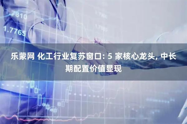 乐蒙网 化工行业复苏窗口: 5 家核心龙头, 中长期配置价值显现