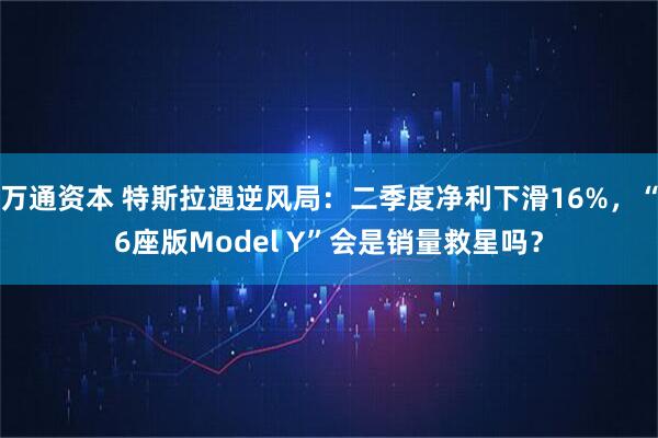 万通资本 特斯拉遇逆风局：二季度净利下滑16%，“6座版Model Y”会是销量救星吗？